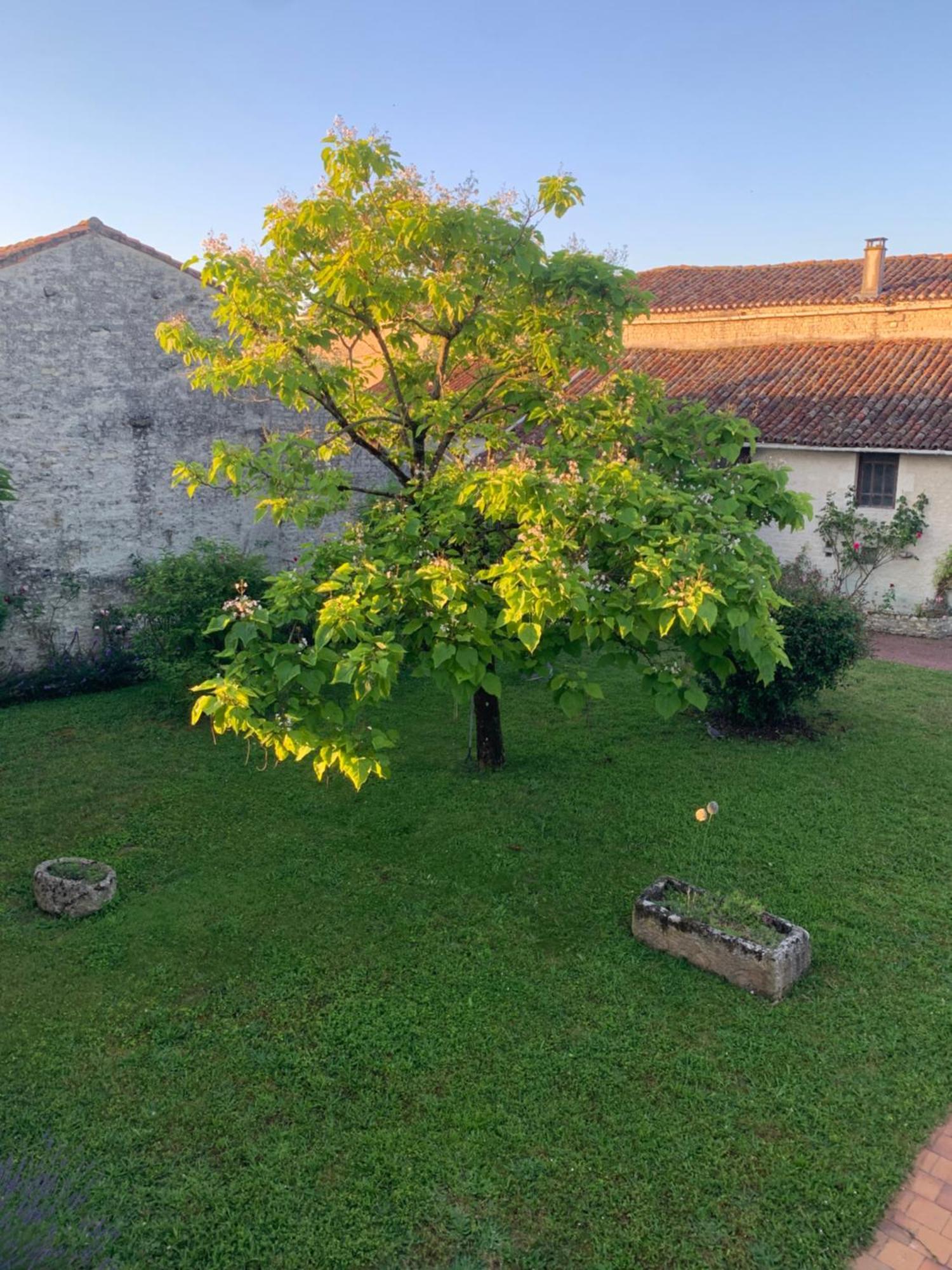 The Cool Lounge A Coulonges - Charente Bed & Breakfast Exterior photo