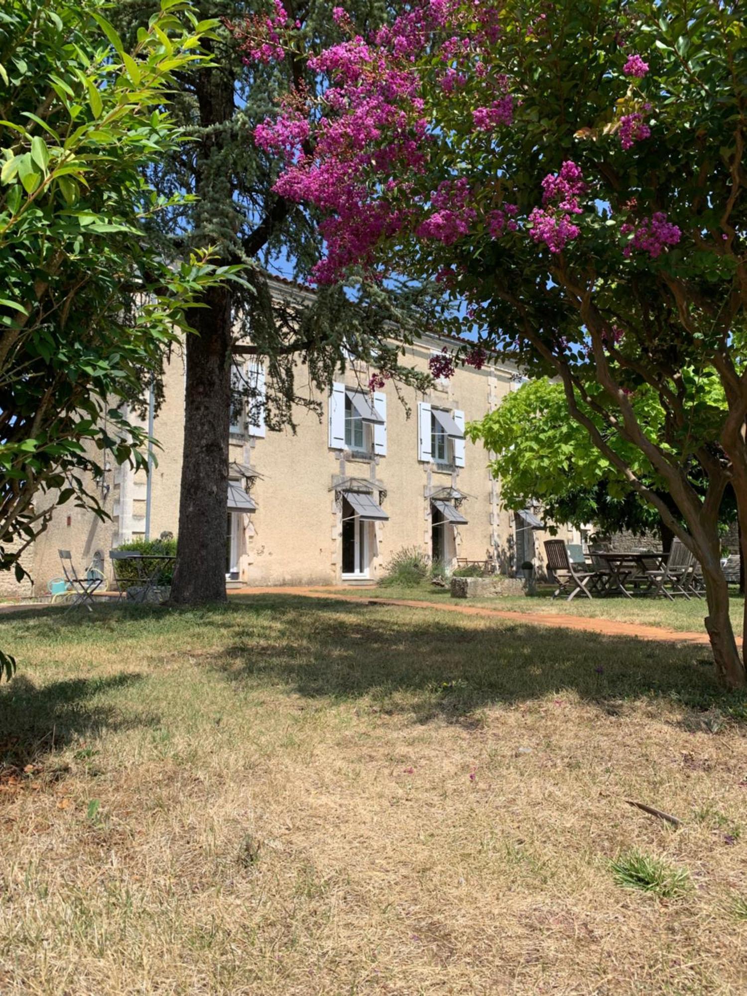 The Cool Lounge A Coulonges - Charente Bed & Breakfast Exterior photo